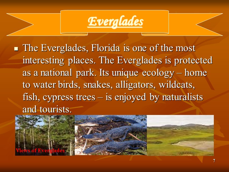7 Everglades The Everglades, Florida is one of the most interesting places. The Everglades